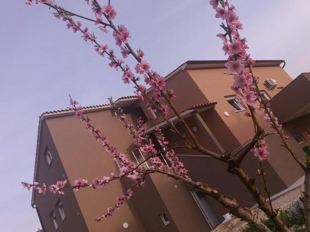 Apartmani B&B Ližnjan Zewnętrze zdjęcie